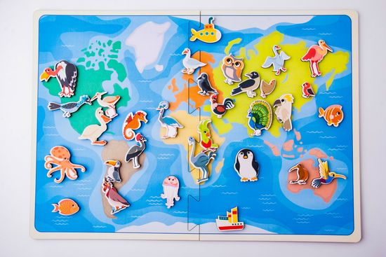 Карта – липучка Птицы