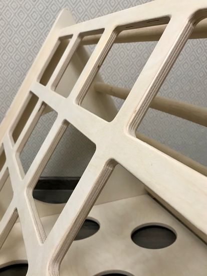 Детский спортивный уголок "Треугольник Пиклер" Little Nature