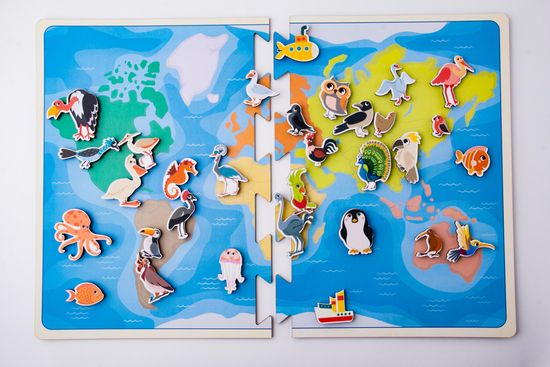 Карта – липучка Птицы