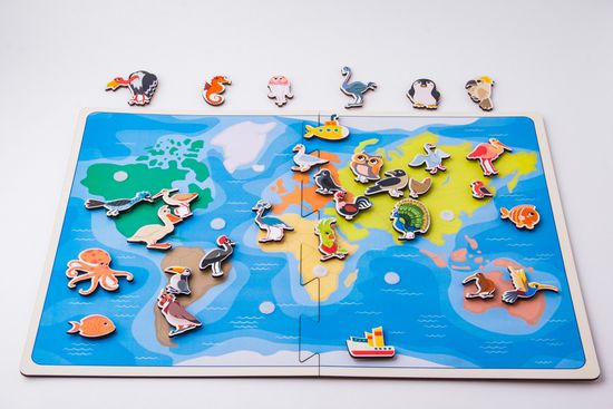 Карта – липучка Птицы