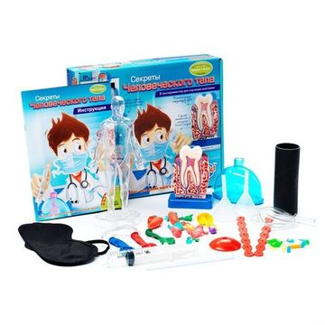 Научно-познавательный набор Bondibon "Секреты человеческого тела"
