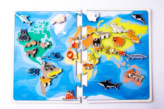 Карта – липучка Хищные животные