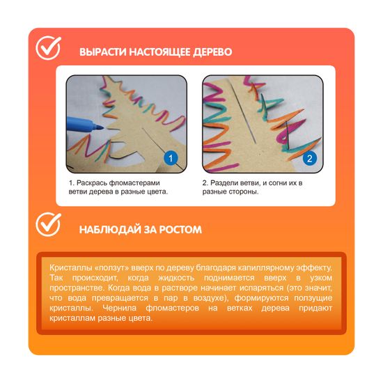 Набор для выращивания кристаллов Bondibon "Юный химик: Растущее Дерево"