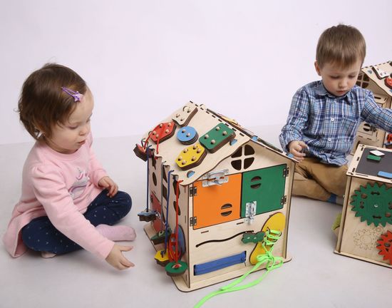 Бизидомик без электрики